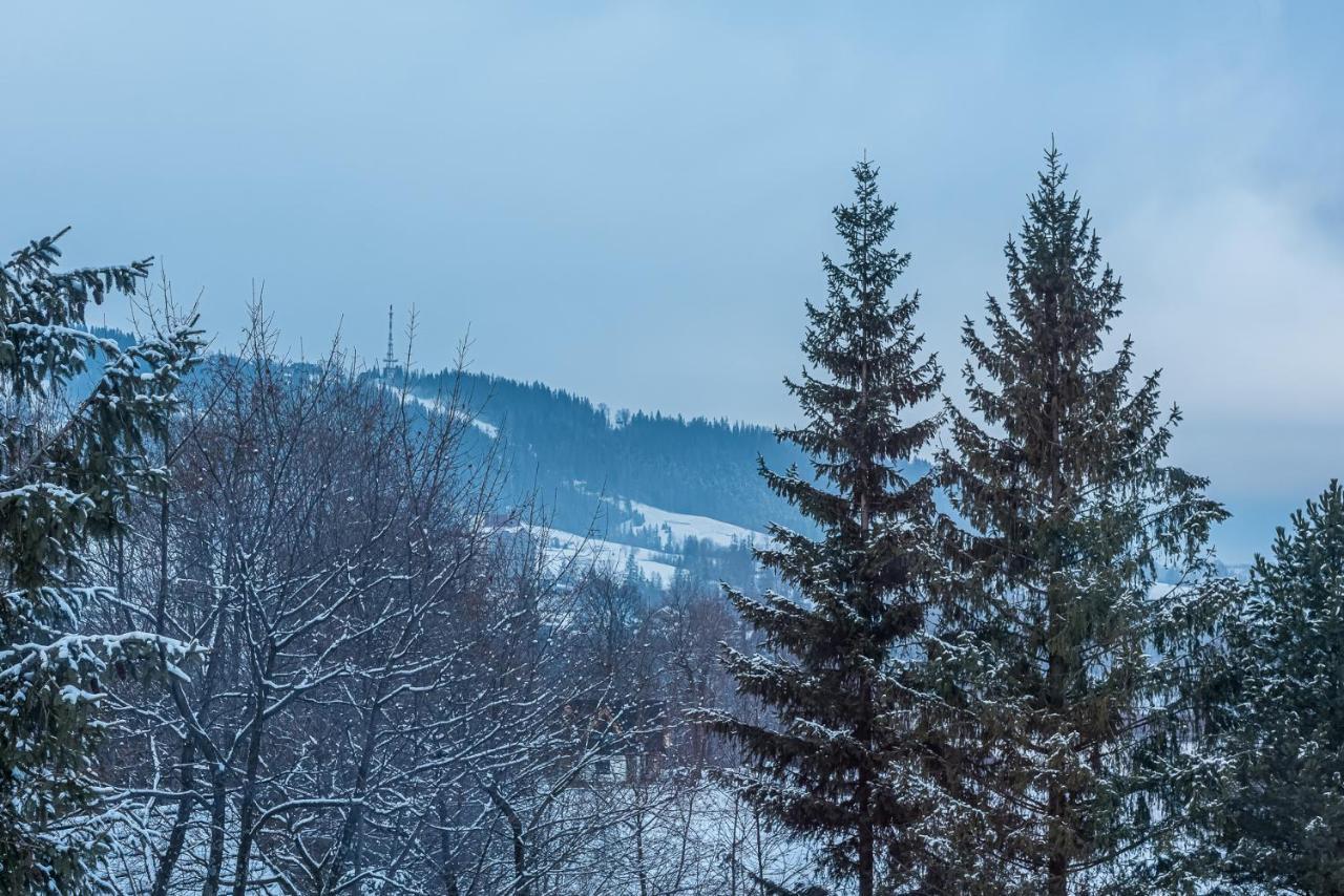 Zakopianskie Widoki Zakopane Exteriör bild